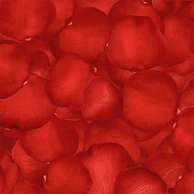 Printed Fluidproof Throw – Rose Petals