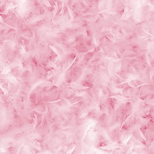 SexTips series image of feathers in bright pink
